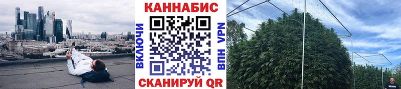 Цена Лениногорск COCAIN  ТГК  БУТИРАТ  A PVP  Меф  Галлюциногенные грибы 
