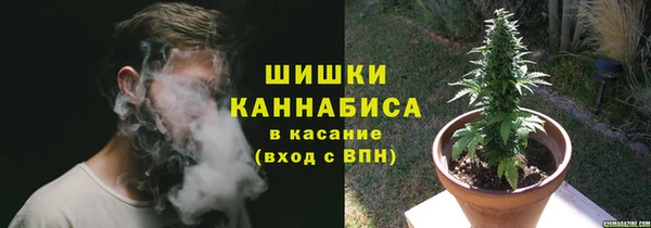 PSILOCYBIN Балабаново
