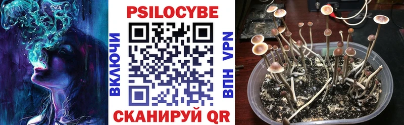 MEGA онион  Лениногорск  Галлюциногенные грибы Psilocybine cubensis 